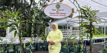 IAD Tabalong Buat Kebun Hidroponik dan Toga di Halaman Kantor Kejaksaan