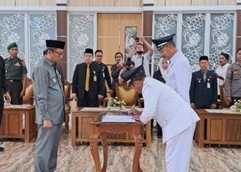 H Fani Pinta Desa Memanfaatkan Sebaik-baiknya Program Makan Bergizi Gratis