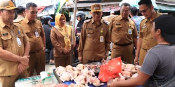 Jelang Lebaran, Stok Bapok di Tabalong  Aman