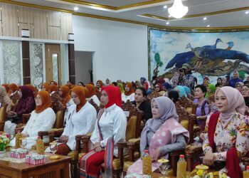 Peringati Hari Kartini H Fani Ajak Kaum Perempuan di Tabalong Cegah Stunting