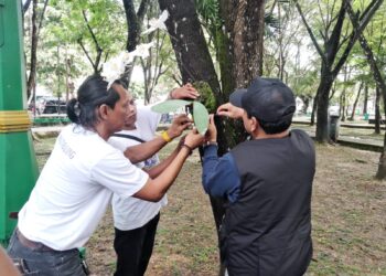 Tanjung Bersinar Park Makin Cantik Dihiasi Ratusan Anggrek Bulan