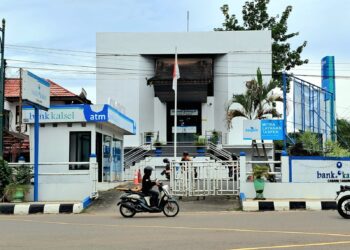 Penyertaan Modal di Bank Kalsel Rp 156, 8 M, Pemkab Tabalong Terima Deviden Tahun 2024 Sebesar Rp 14,2 M