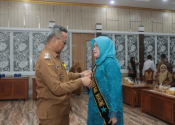 Hj Desi Dikukuhkan Sebagai Bunda Literasi Tabalong