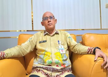 Dari Jembatan hingga Bibit Unggul: Strategi DKPPTPH Tabalong Dongkrak Ketahanan Pangan