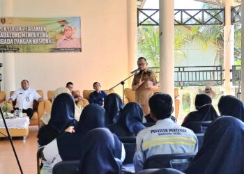 Bupati Akui Peran Penyuluh Pertanian Tabalong