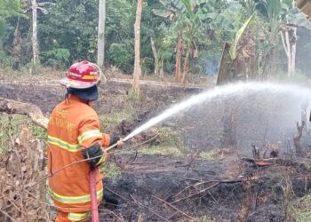 Selama Juli 2025, Tiga Lahan di Tabalong Terbakar