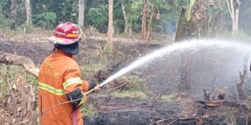 Selama Juli 2025, Tiga Lahan di Tabalong Terbakar