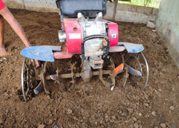 Disbunnak Tabalong Bantu Sarana Penunjang ke Kelompok Peternak
