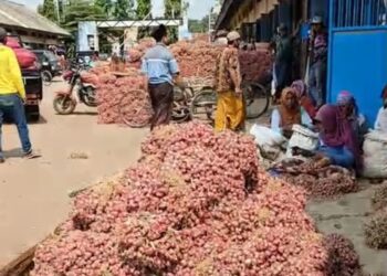 Stabilkan Harga Bawang Merah, Pemkab Tabalong Pasok dari Nganjuk dan Probolinggo