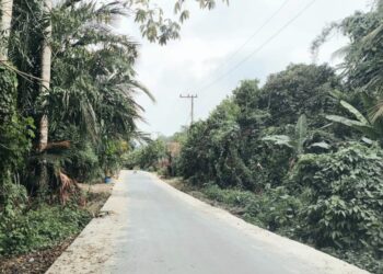 Belasan KM Jalan di Tabalong Dilebarkan Dinas PUPR