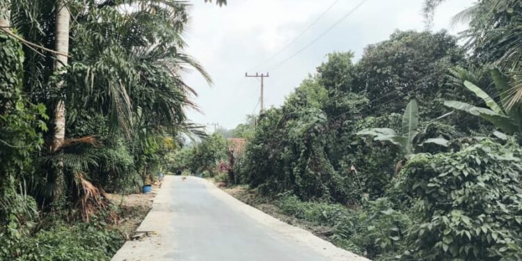 Belasan KM Jalan di Tabalong Dilebarkan Dinas PUPR