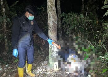 Sepeda Motor Parkir Dua Hari, Warga Hikun Ditemukan MD di Kebun Karet