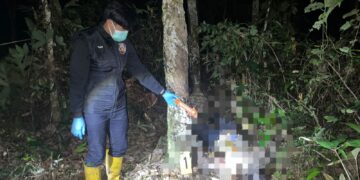 Sepeda Motor Parkir Dua Hari, Warga Hikun Ditemukan MD di Kebun Karet