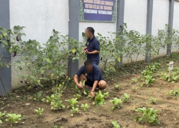 Kebun SAE Sumbang Gizi Sehat untuk Menu Harian Napi