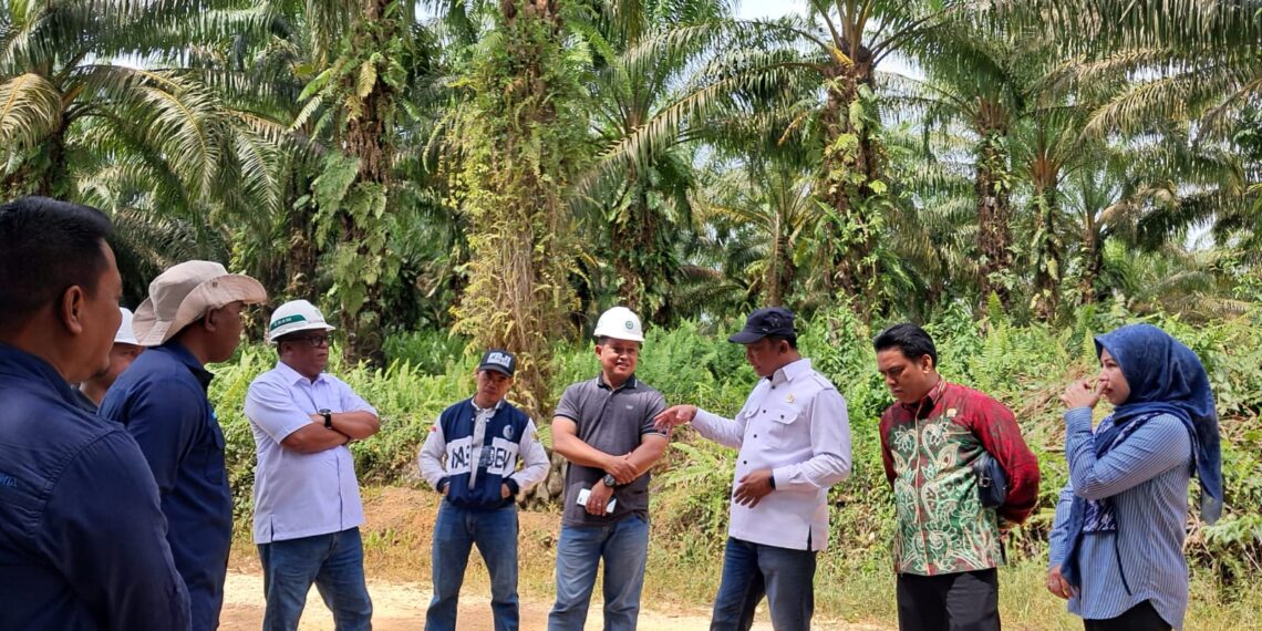 Masuk Kawasan Hutan, Ratusan Hektar Lahan PT AAL di Tabalong Diambil Alih Satgas PKH