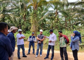 Masuk Kawasan Hutan, Ratusan Hektar Lahan PT AAL di Tabalong Diambil Alih Satgas PKH
