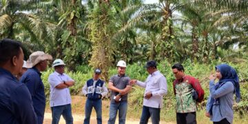 Masuk Kawasan Hutan, Ratusan Hektar Lahan PT AAL di Tabalong Diambil Alih Satgas PKH