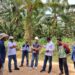 Masuk Kawasan Hutan, Ratusan Hektar Lahan PT AAL di Tabalong Diambil Alih Satgas PKH