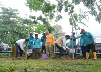 H Fani Pinta Kepala Dinas Hingga Staf di Tabalong Tanam Pohon