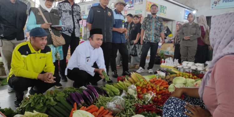 Harga Kacang Panjang Alami Kenaikan di Tabalong, Ini Penyebabnya
