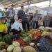 Harga Kacang Panjang Alami Kenaikan di Tabalong, Ini Penyebabnya