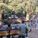 Sungai Jaing Menghitam, Wisata Andalan Masukau Terancam Gulung Tikar