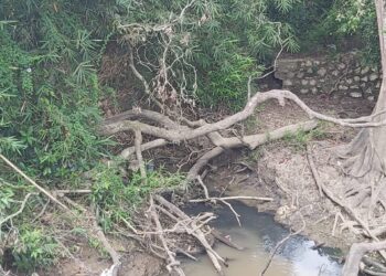Air Sungai Jaing Berubah Coklat Kehitaman, DLH Tabalong Ambil Sampel Uji Laboratorium