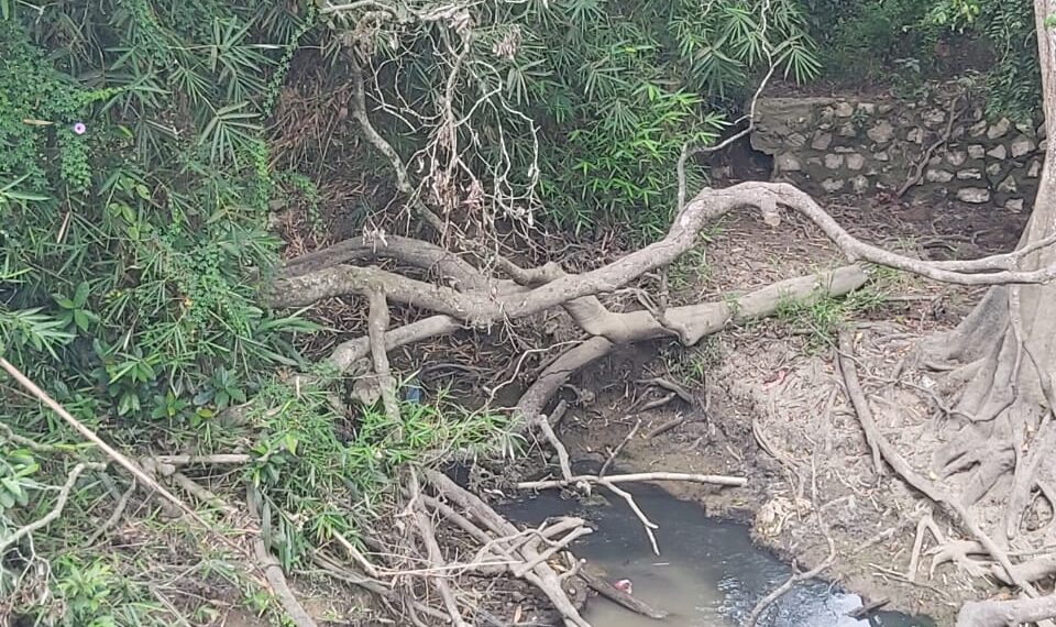Air Sungai Jaing Berubah Coklat Kehitaman, DLH Tabalong Ambil Sampel Uji Laboratorium