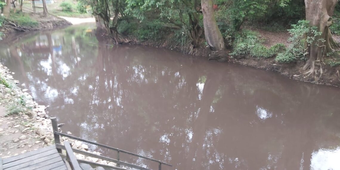 DLH Tabalong Terkendala “Multi Aktivitas” dalam Ungkap Kasus Sungai Jaing