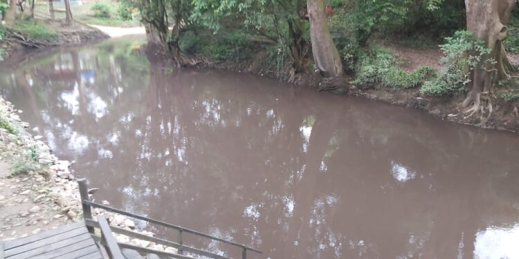DLH Tabalong Terkendala “Multi Aktivitas” dalam Ungkap Kasus Sungai Jaing