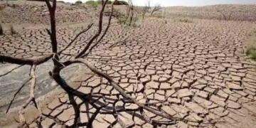 Waspada! Kemarau di Kalsel Datang Lebih Awal & Lebih Kering