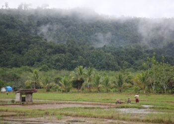 Antisipasi Kemarau Ekstrim, DKPPP Tabalong Periksa Pompa Air Petani