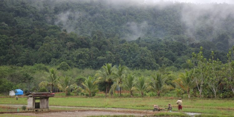 Antisipasi Kemarau Ekstrim, DKPPP Tabalong Periksa Pompa Air Petani