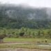 Antisipasi Kemarau Ekstrim, DKPPP Tabalong Periksa Pompa Air Petani