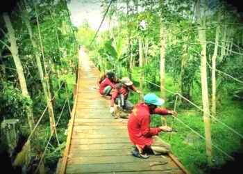 Dinas PUPR Tabalong “Pelihara” 520 Jembatan, Total Panjang 6.669,54 Meter