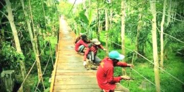 Dinas PUPR Tabalong “Pelihara” 520 Jembatan, Total Panjang 6.669,54 Meter