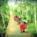 Dinas PUPR Tabalong “Pelihara” 520 Jembatan, Total Panjang 6.669,54 Meter