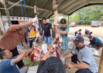 Momen Idul Adha, Warga Masukau Rutin Berqurban Sejak Tahun 1970