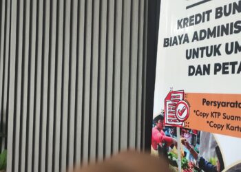 Kredit Tabalong Smart BPR Bersinar Kini Gratis Asuransi Jiwa dan BPJS