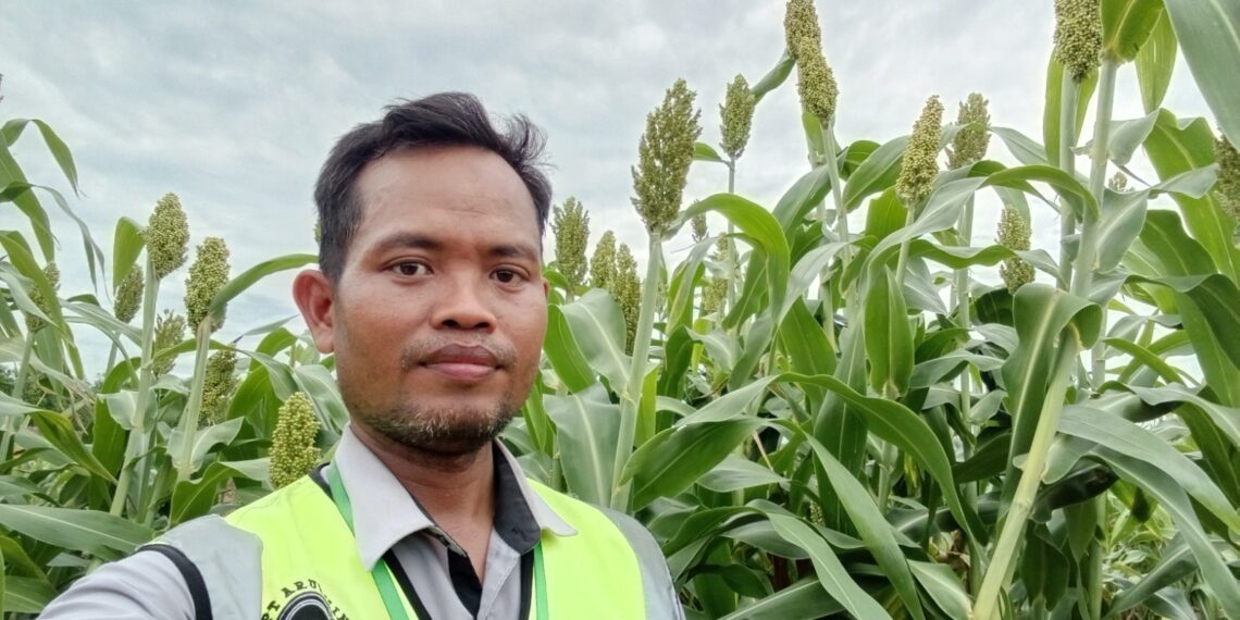 Sorgum dan Harapan Baru Pangan Sehat Indonesia