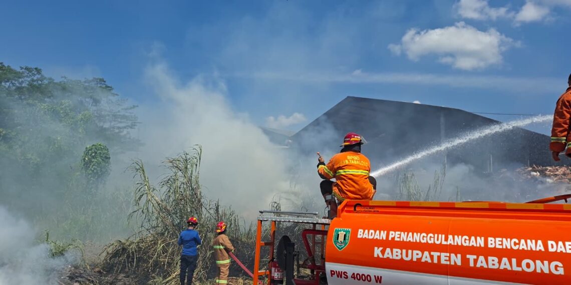BPBD Tabalong Catat Kasus Karhutla Pertama di Desa Karangan Putih