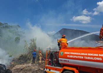 BPBD Tabalong Catat Kasus Karhutla Pertama di Desa Karangan Putih