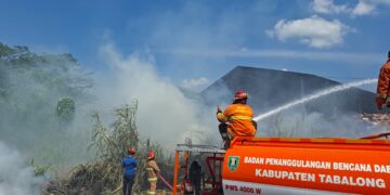 BPBD Tabalong Catat Kasus Karhutla Pertama di Desa Karangan Putih