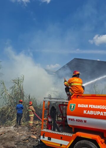 BPBD Tabalong Catat Kasus Karhutla Pertama di Desa Karangan Putih