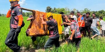 Warga Marindi Ditemukan Meninggal Dunia di Persawahan