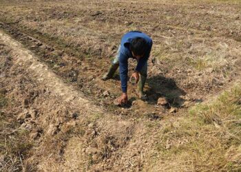 Bantu Petani Hadapi Kemarau, DKPPP Tabalong Kerahkan Pompa Air dan Kolaborasi Lintas Dinas