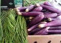 Kemarau Panjang Bikin Harga Sayur di Tabalong Meroket Hingga 200 Persen