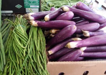 Kemarau Panjang Bikin Harga Sayur di Tabalong Meroket Hingga 200 Persen