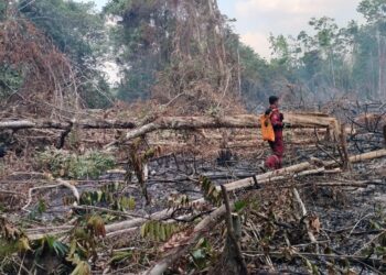 28 Hotspot Terdeteksi di Tabalong, KPH Ajak Masyarakat Jaga Kawasan Hutan