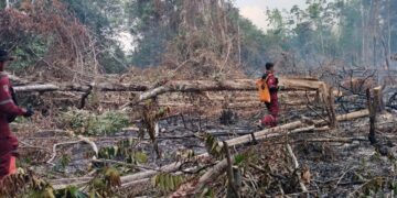 28 Hotspot Terdeteksi di Tabalong, KPH Ajak Masyarakat Jaga Kawasan Hutan